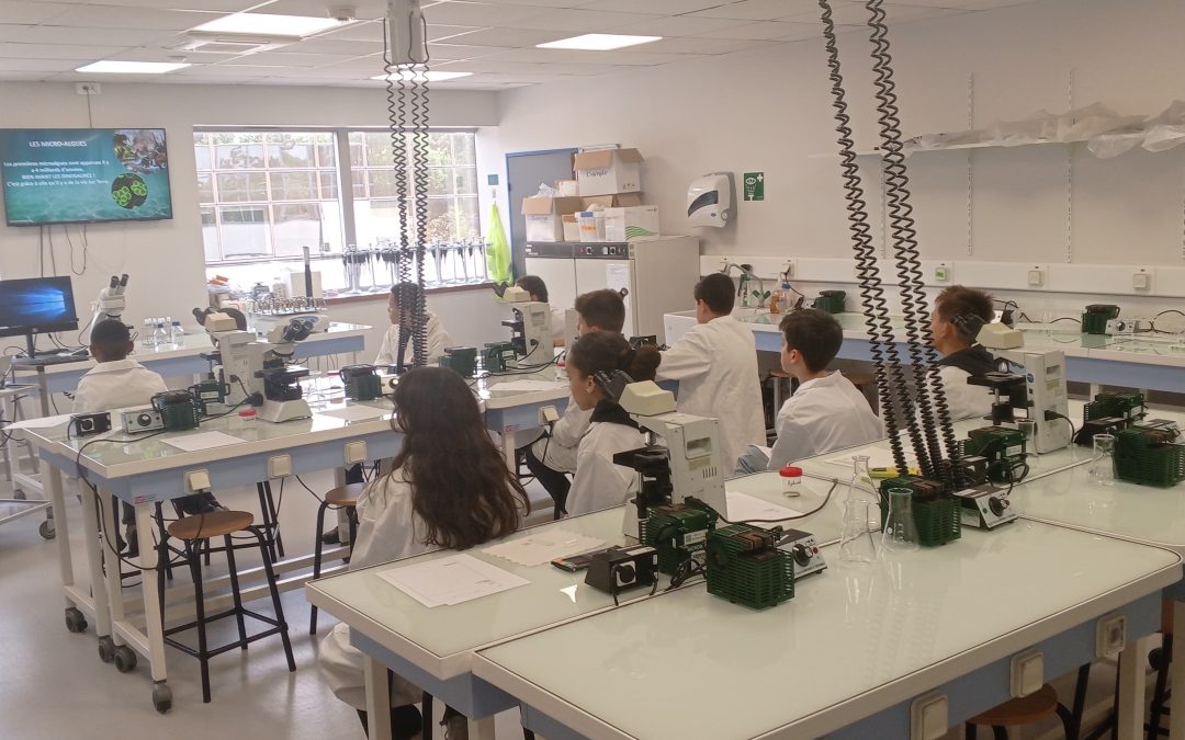 APRES MIDI A L&rsquo;EBI (Ecole de Biologie Industrielle)